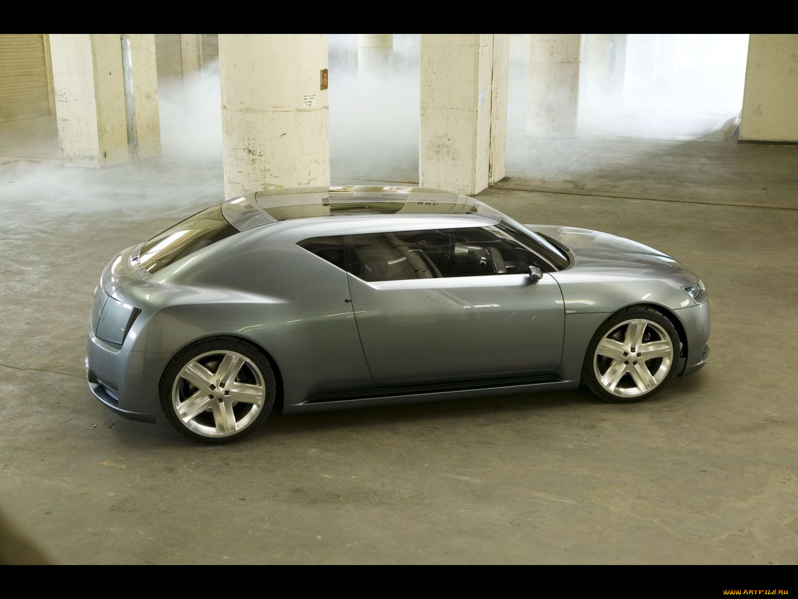 , scion